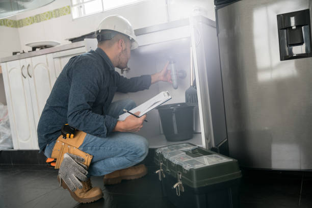 Best Clogged Drain Plumber  in Fennville, MI
