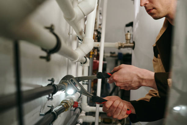 Best Local Plumber Services  in Fennville, MI