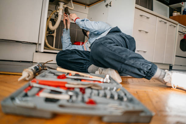 Best Residential Plumbing Services  in Fennville, MI