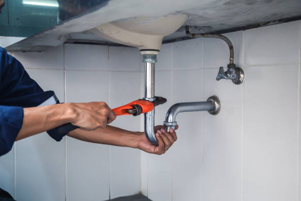 Best 24-Hour Plumber Near Me  in Fennville, MI